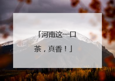 河南这一口茶，真香！